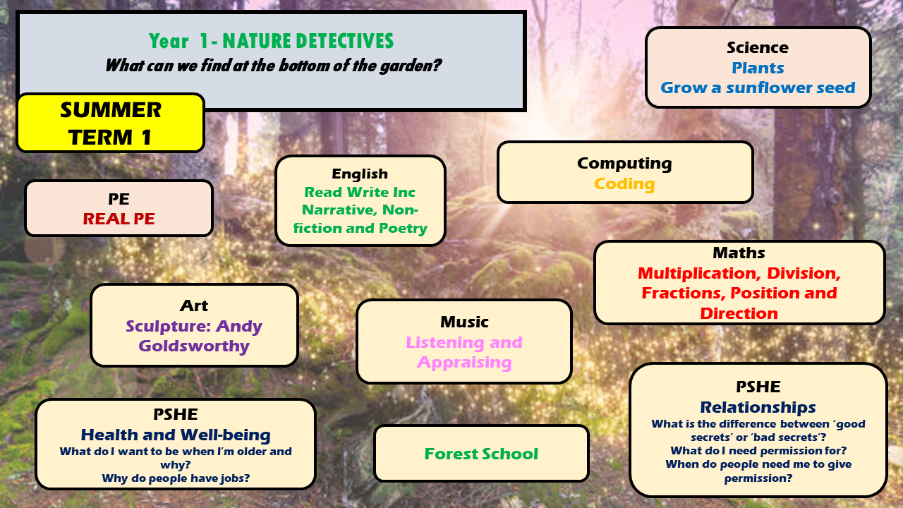 KS1 Summer 1 Topic Webs 2024-2025
